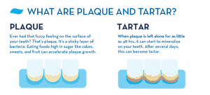 dental-plaque-and-tartar